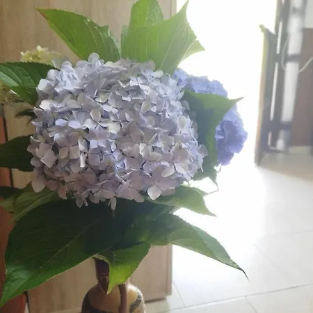 Prázdninový dům El Pedrosu Casa 6 Personas En Espinareu Cuerrías