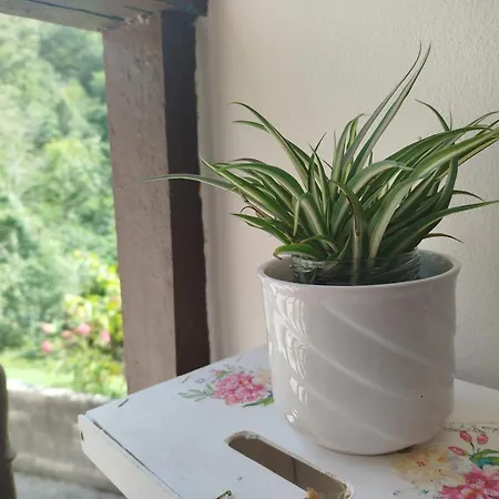 Prázdninový dům El Pedrosu Casa 6 Personas En Espinareu Cuerrías