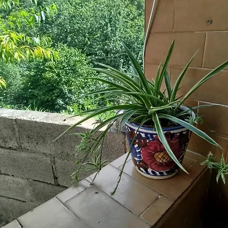 Prázdninový dům El Pedrosu Casa 6 Personas En Espinareu Cuerrías